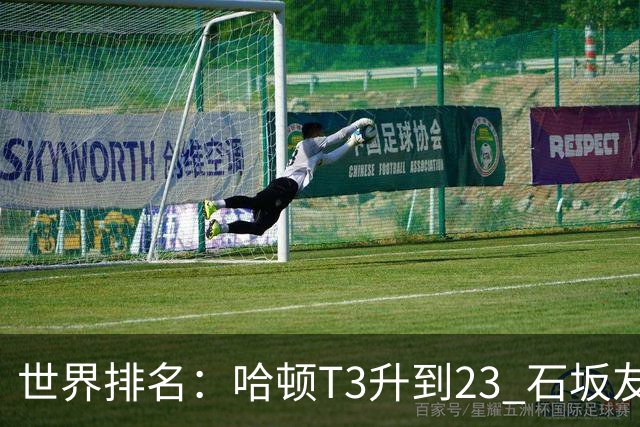 世界排名：哈顿T3升到23 石坂友宏日巡首胜412位