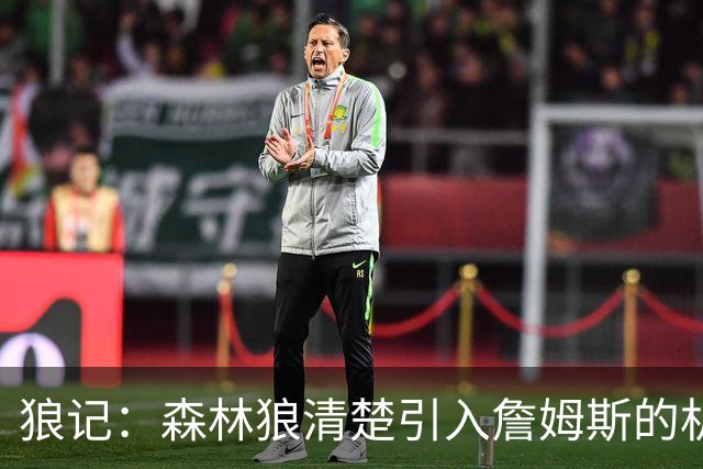 狼记：森林狼清楚引入詹姆斯的机会微乎其微 但他们积极主动招募